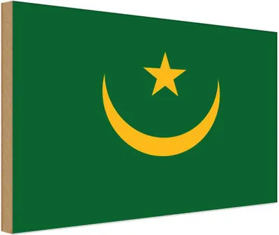 Produktbild von vianmo Holzschild 20x30 cm Mauretaniens Mauritania Flagge Fahne Wappen