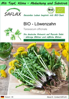 Produktbild von SAFLAX Garden to go - BIO - Löwenzahn - Taraxacum officinale - 400 Samen - Mit Topf, Klima - Deckel und Anzuchtsubstrat
