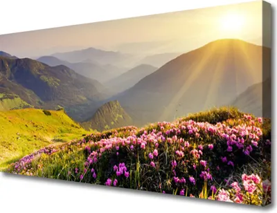 Produktbild von Tulup Leinwand-Bilder 100x50 Wandbild Canvas Kunstdruck Gebirge Wiese Landschaft