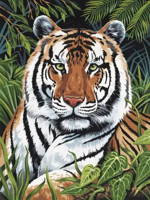 Produktbild von Malen nach Zahlen PJS75 Tiger im Versteck
