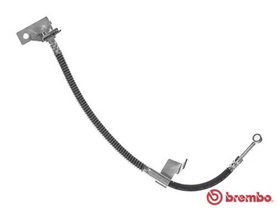 Produktbild von BREMBO T 30 061 Bremsschlauch für HYUNDAI GETZ (TB)