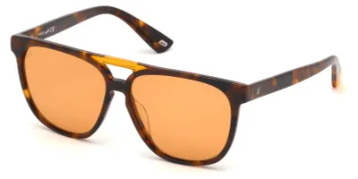Imagen del producto de WEB EYEWEAR Gafas de sol WE0263-5956J