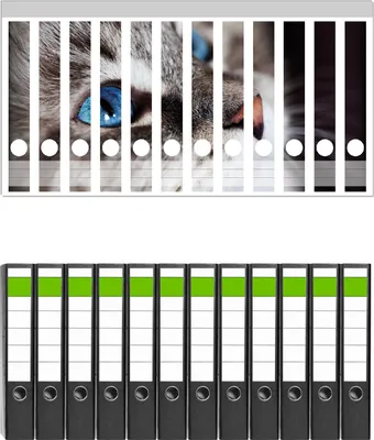 Produktbild von Wallario 12 Stück schmale Ordner inkl. Klebeetiketten mit Motive Katze mit strahlend blauen Augen -  Set mit Rückenschildern / Ordnerrücken Stickern