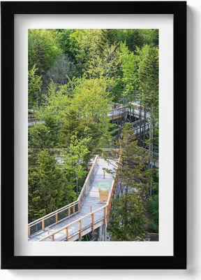 Produktbild von Weg in Krynica Zdrój– Wandbild mit Rahmen – Gerahmtes Bild  – Wanddekoration – 20x30 cm – Schwarz