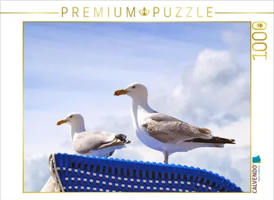 Produktbild von CALVENDO Puzzle Möwen auf einem Strandkorb an der Ostsee | 1000 Teile Lege-Größe 64x48cm Foto-Puzzle für glückliche Stunden