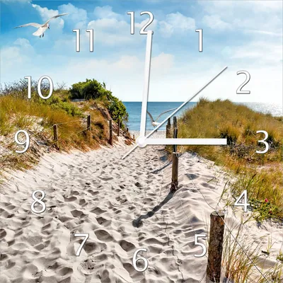 Produktbild von Wallario Design Wanduhr Möwen auf dem Weg zum Strand aus Echtglas, Größe 30 x 30 cm