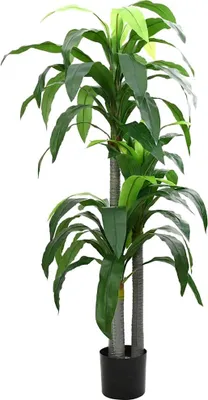 Obrázek produktu pro Umělý strom Dracaena 36 listů 180 cm zelený