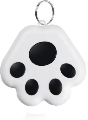 Image de Traceur GPS pour animaux de compagnie - compact, étanche, pour chats