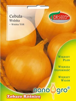 Zdjęcie produktu dla Nasiona cebuli Wola NANO- Torseed