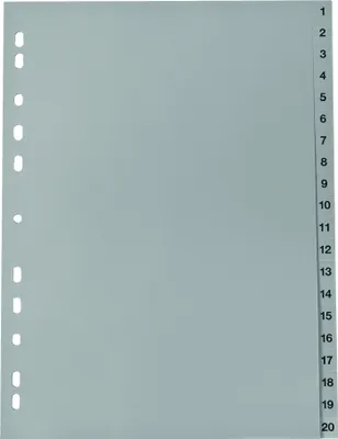 Produktbild von Register 220 A4 20tlg 1-20 gr 4021627002204