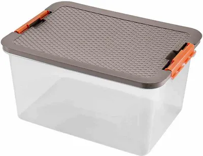 Image de Caisse système 38 l, 52 x 37 x 27 cm Couvercle aspect rotin couleurs assorties