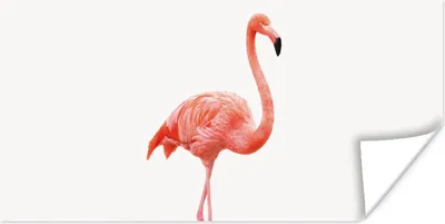 Produktbild von MuchoWow® Poster Flamingo - Rosa - Vogel - Mädchen - Jungen - Kind 40x20 cm - Poster für die Wand - Poster Schlafzimmer