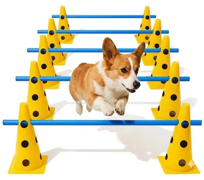 Zdjęcie produktu dla Zestaw do agility dla psów, 6 przeszkód, 12 tyczek treningowych, 12 pylonów, odporny na warunki atmosferyczne, przenośny