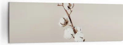 Produktbild von Bild auf Leinwand - Leinwandbild - Einteilig - Baumwolle Zweig Boho - 160x50cm - Wand Bild - Wanddeko - Wandbilder - Leinwanddruck - Bilder - Wanddekoration - Leinwand bilder - AB160x50-4730