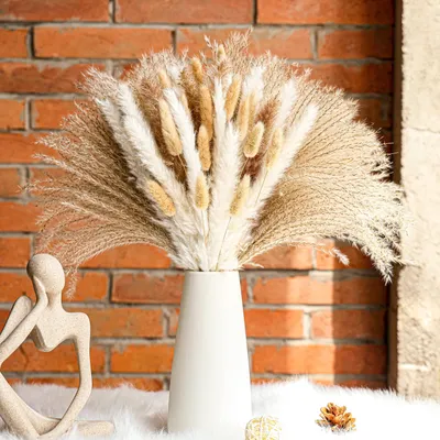 Getrocknetes Pampasgras 100er-Pack, 43 cm, Naturfaser, Boho-Deko