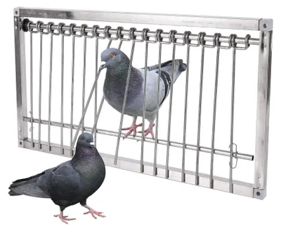 Immagine prodotto di Porta per trappola per piccioni in acciaio – Adatta per quaglie e altri uccelli