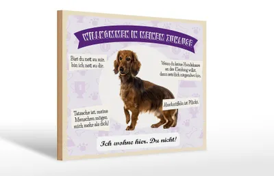 Produktbild von Holzschild Spruch 30x20cm Tiere Dackel willkommen wohne hier