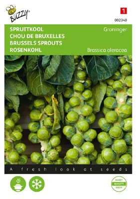 Produktbild von Rosenkohl Groninger | Rosenkohlsamen von Buzzy Seeds