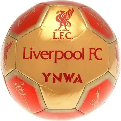 Immagine prodotto di Liverpool FC - Calcio con firme BS3682 (5) (rosso/oro)