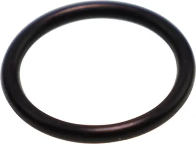 Produktbild von KÄRCHER Ersatzteile O-Ring 16,0 X 2,0 6.362-903.0