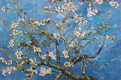 Obrázek produktu pro Vincent Van Gogh Art Print Obraz - Kvetoucí větve mandloní, 1890 (120 x 180 cm)