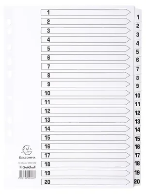 Produktbild von EXACOMPTA Karton-Register 1-20 DIN A4 weiß 20-teilig