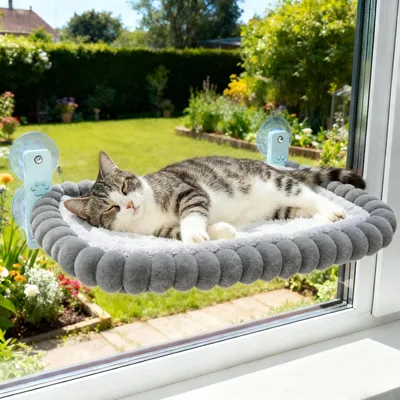 Katzenbett mit Saugnäpfen, abnehmbarer Bezug, bis 18 kg