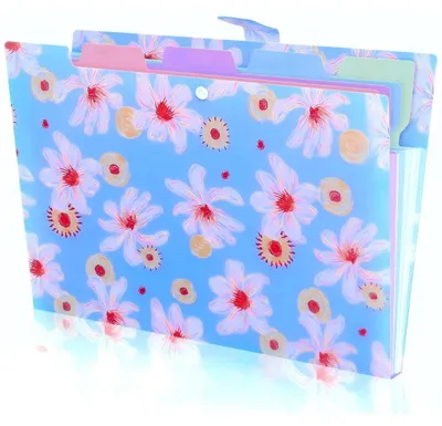 Produktbild von Fächermappe A4 mit 5 Fächern, erweiterbar, Druckknopfverschluss, wasserdicht, blau