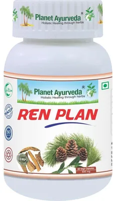 Productafbeelding van Nierplan - Voor nieren en urinewegen - 500 mg, 60 capsules
