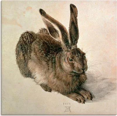 Produktbild von ARTland Leinwandbild Junger Feldhase. 1502 Größe: 100x100 cm