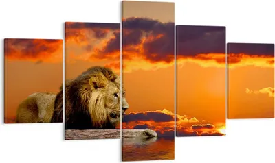 Produktbild von Bild auf Leinwand - Leinwandbild - Löwe Sonne Landschaft - 125x70cm - Wand Bild - Wanddeko - Leinwanddruck - Bilder - Kunstdruck - Wanddekoration - Leinwand bilder - Wandkunst - EA125x70-0230