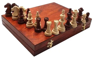 Image de Solidchoice - Jeu d'échecs pliable de luxe avec pièces Staunton