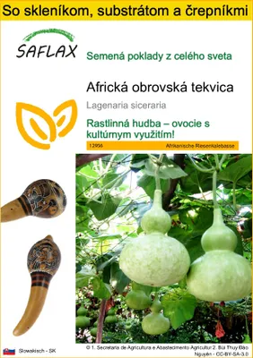 Obrázok produktu pre SAFLAX Kultivačný set - Africká obrovská tekvica - Lagenaria siceraria - 15 Semená - S mini skleníkom, pestovateľským substrátom a 2 črepníkmi