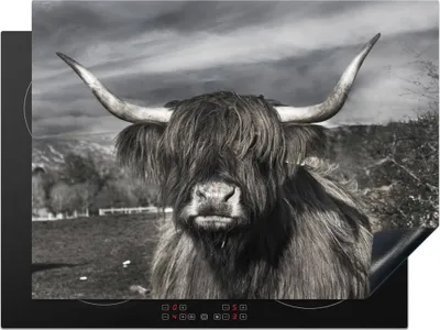 Produktbild von KitchenYeah© Herdabdeckplatte Schottischer Highlander - Tiere - Hörner , 70x52cm, Küche Deko, Glaskeramikkochfeld Herdabdeckung, Abdeckplatte fùr Kochfeld