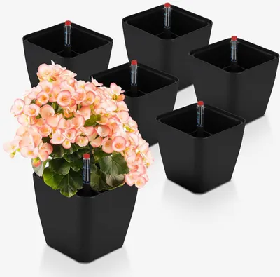 Image de Pot d'auto-arrosage Lot de 6 pots à herbes Noir 13,7x13,5cm