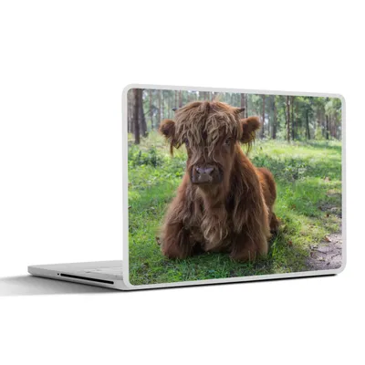 Produktbild von MuchoWow® Laptop Aufkleber Sticker Cover Schottischer Highlander - Kröte - Tiere 32.5x23.5 cm - Sticker für Laptop - Selbstklebend