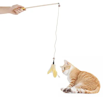 Produktbild von Katzenangel mit Holzsatb und Kordel 110 cm · Libelle- & Federanhänger- gelb