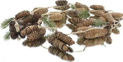 Produktbild von GASPER Weihnachtsgirlande Zapfen mit Tannengrün 165 cm - Kunstpflanzen
