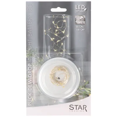 Produktbild von Star Trading 728-19, Leichte Dekorationskette, Silber, Polyvinylchlorid (PVC), IP20, Silber, 40 Glühbirne(n)