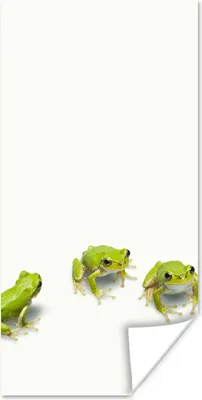 Produktbild von MuchoWow® Poster Frosch - Tiere - Grün 60x120 cm - Wandschmuck
