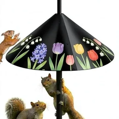 Eichhörnchenschutz 43 cm für Vogelhäuschen, Stangenmontage