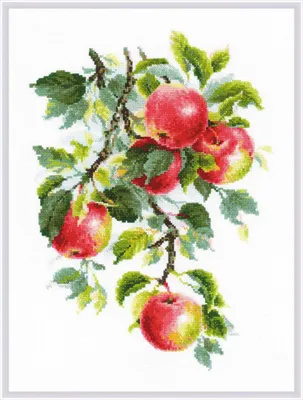 Produktbild von Riolis Kreuzstich Set "Saftige Äpfel"; Zählmuster, 30x40cm