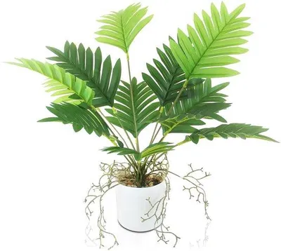 Immagine prodotto di Palma Areca artificiale da 49 cm in plastica, pianta decorativa per soggiorno, balcone, bagno