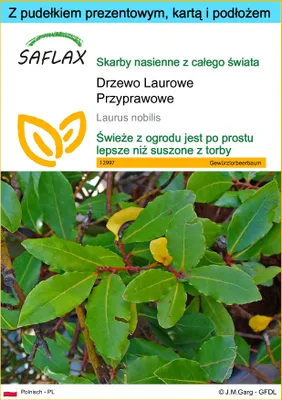 Zdjęcie produktu dla SAFLAX - Zestaw prezentowy - Drzewo Laurowe Przyprawowe - 6 Nasiona - Z pudełkiem upominkowym, etykietą wysyłkową, kartą podarunkową i podłożem uprawowym - Laurus nobilis