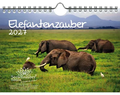 Produktbild von Elefantenzauber DIN A5 Kalender für 2027 Elefanten - Seelenzauber