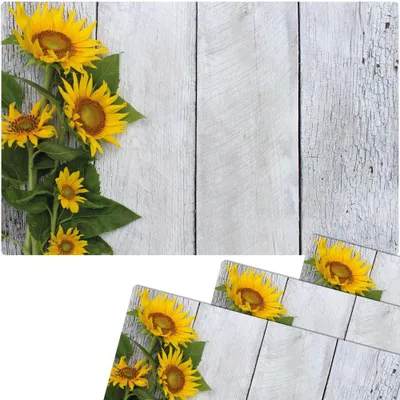 Immagine prodotto di Set di 4 tovagliette lavabili effetto legno con girasoli