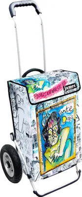 Produktbild von James Einkaufstrolley - TANTE DORIS - stabiler Einkaufswagen mit individuellem Design - mehrfarbig: weiß | grün in Ausführung: Royal-Luftraeder