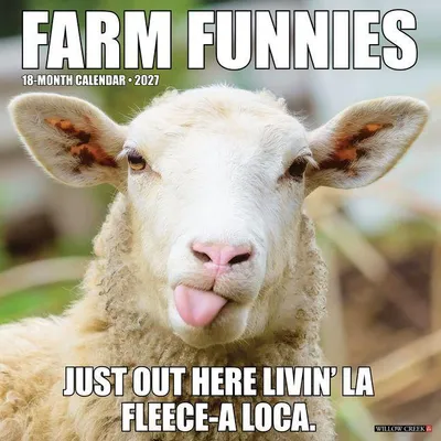 Produktbild von Farm Funnies 2027 12 X 12 Wall Calendar
