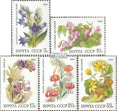 Produktbild von Briefmarken Sowjetunion 1988 Mi 5847-5851 (kompl.Ausg.) gestempelt Blumen