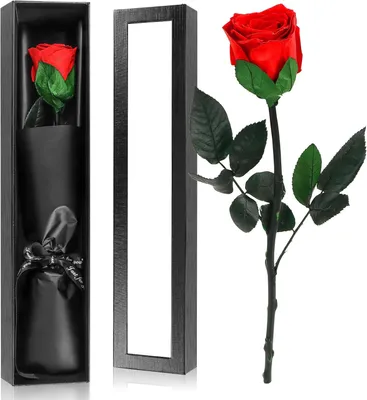 Produktbild von Rose in Geschenkverpackung - Ewige Rose - Valentinstag Muttertag Geschenk - Rote Rose mit Stiel - Romantisches Liebesgeschenk